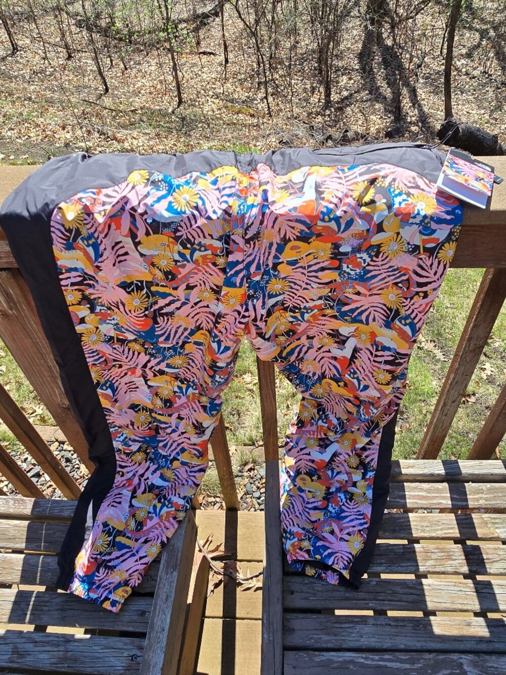 Northface Women's Windwall Hydrenaline Patterned Pants